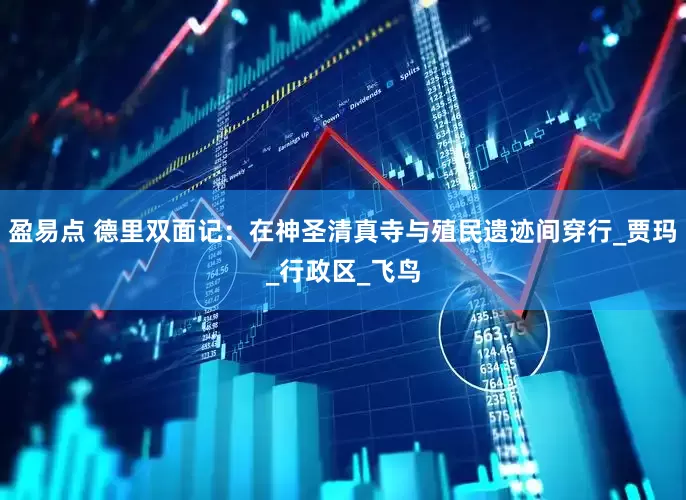 盈易点 德里双面记：在神圣清真寺与殖民遗迹间穿行_贾玛_行政区_飞鸟