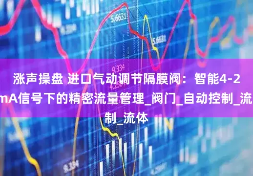 涨声操盘 进口气动调节隔膜阀：智能4-20mA信号下的精密流量管理_阀门_自动控制_流体