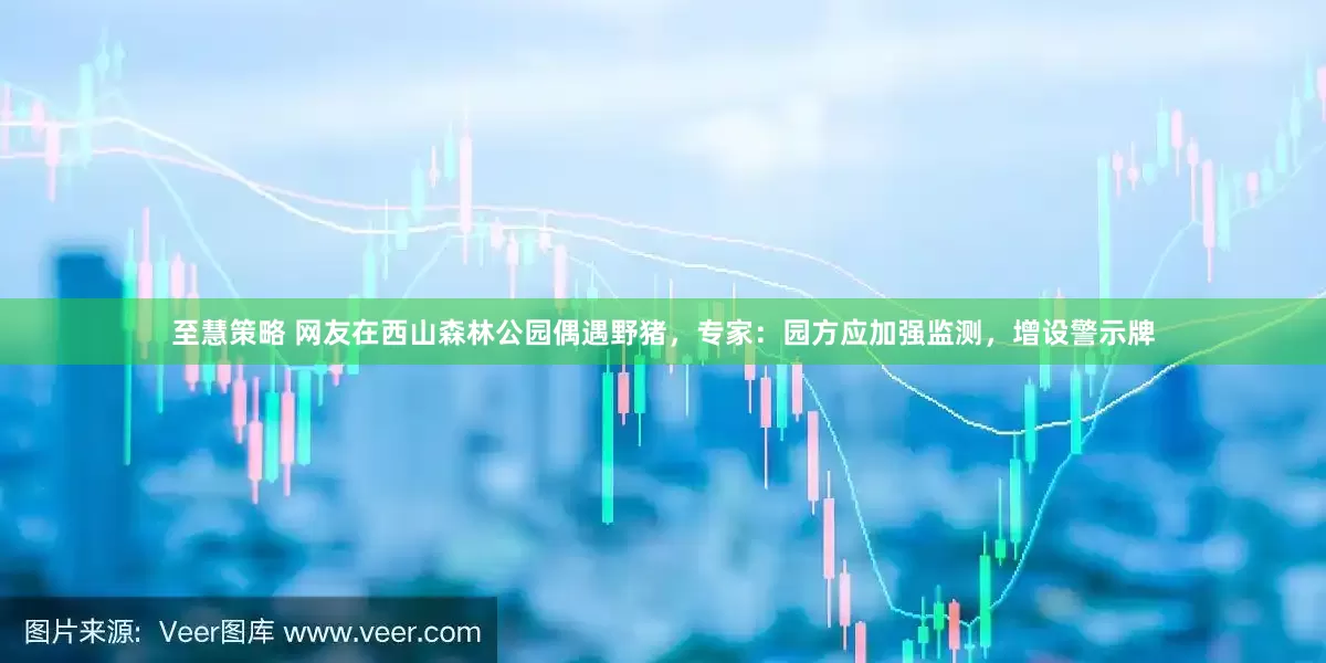 至慧策略 网友在西山森林公园偶遇野猪，专家：园方应加强监测，增设警示牌